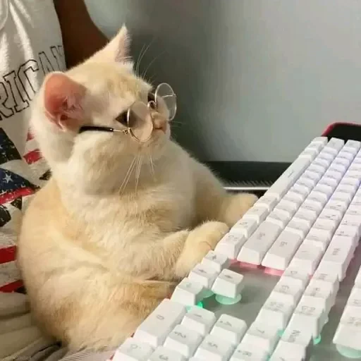 🤓 Стикер «sweet pussy» для Telegram
