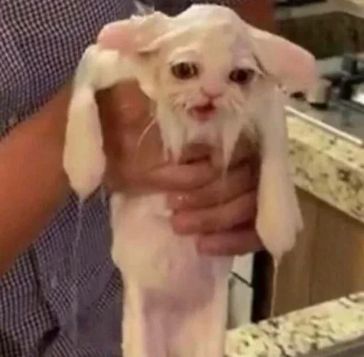 😔 Стикер «sweet pussy» для Telegram