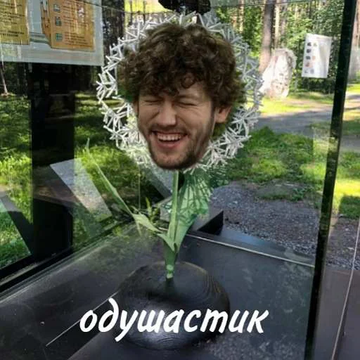 🌼 Стикер «тгк алмазные плоскоземельцы» для Telegram