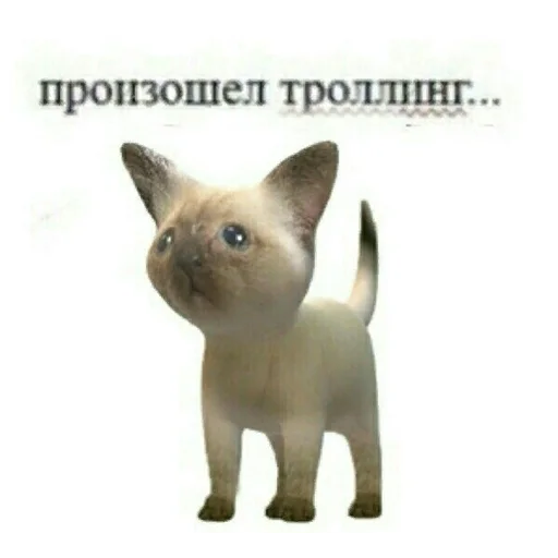 😉 Стикер «youcanchangethisanytime» для Telegram