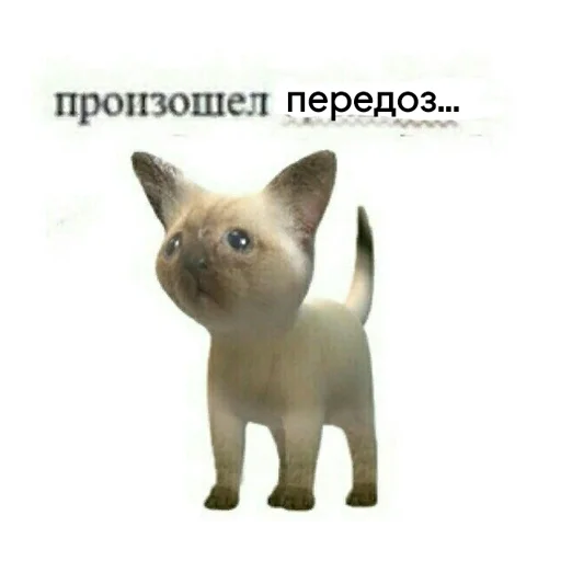💉 Стикер «youcanchangethisanytime» для Telegram