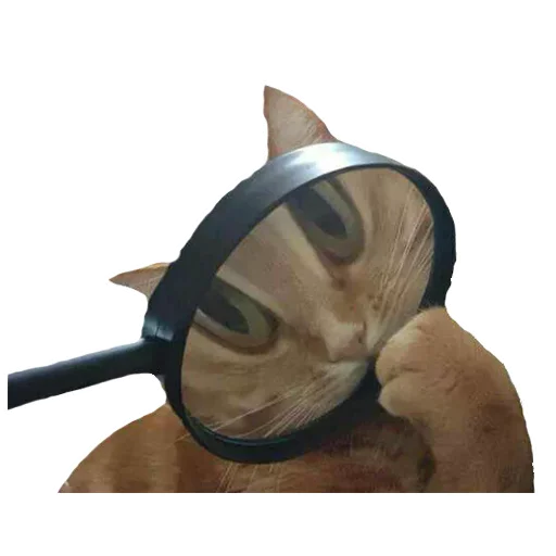 🔍 Стикер «youcanchangethisanytime» для Telegram