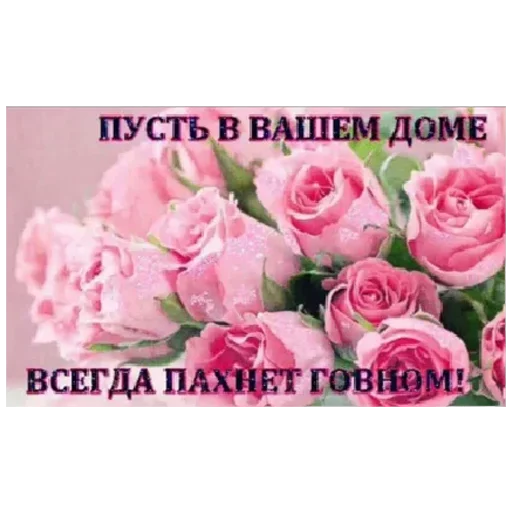 🌷 Стикер «youcanchangethisanytime» для Telegram