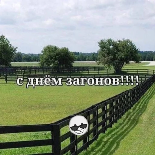 😋 Стикер «На случай важных переговоров» для Telegram