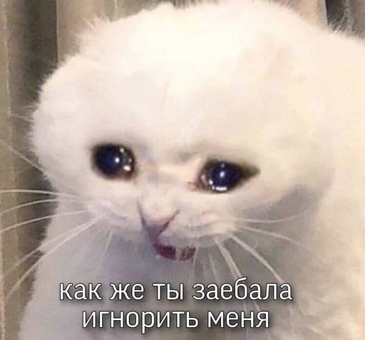 😡 Стикер «На случай важных переговоров» для Telegram
