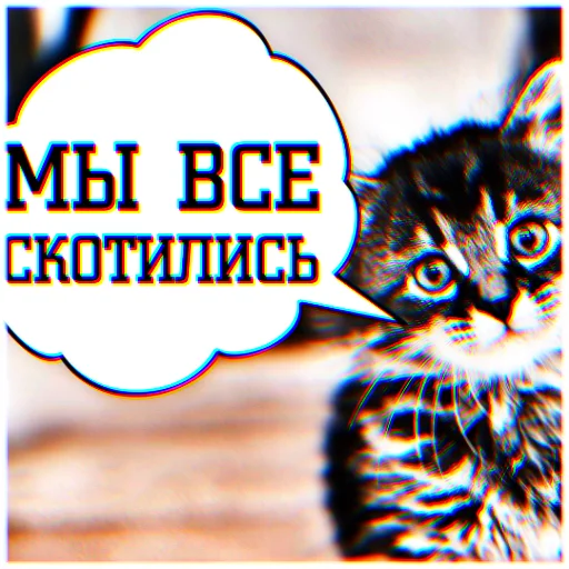 😽 Стикер «ппщ/INBEIN» для Telegram