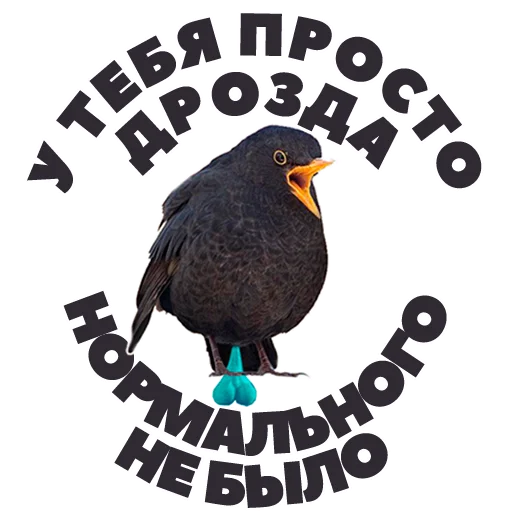 👍 Стикер «in DROZDeggs colour» для Telegram