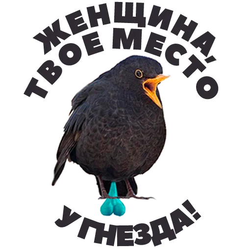 🙊 Стикер «in DROZDeggs colour» для Telegram