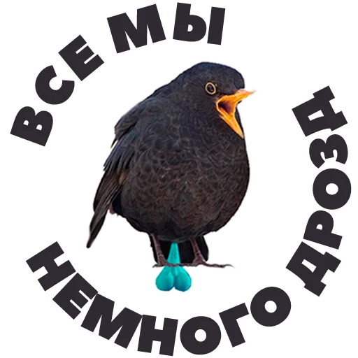 😐 Стикер «in DROZDeggs colour» для Telegram