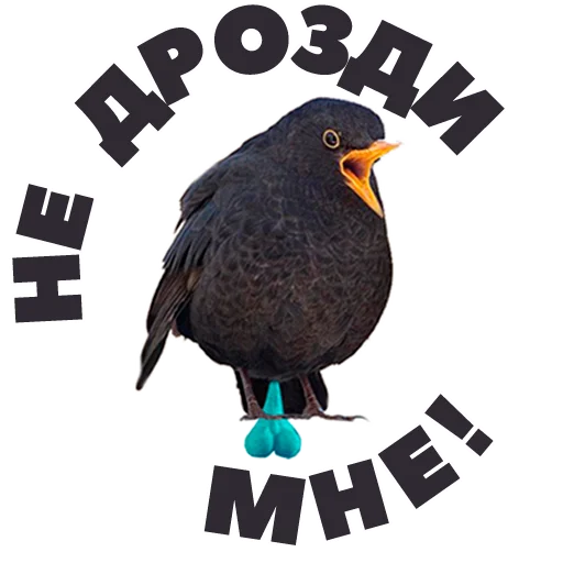 😰 Стикер «in DROZDeggs colour» для Telegram