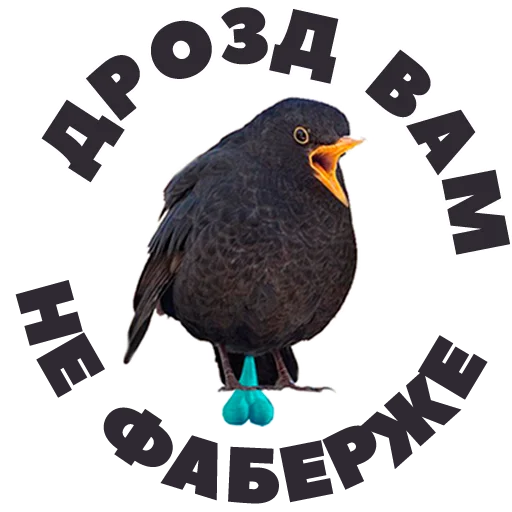 😳 Стикер «in DROZDeggs colour» для Telegram