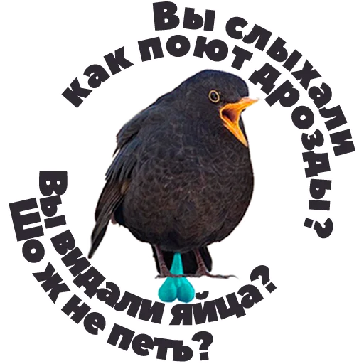😆 Стикер «in DROZDeggs colour» для Telegram