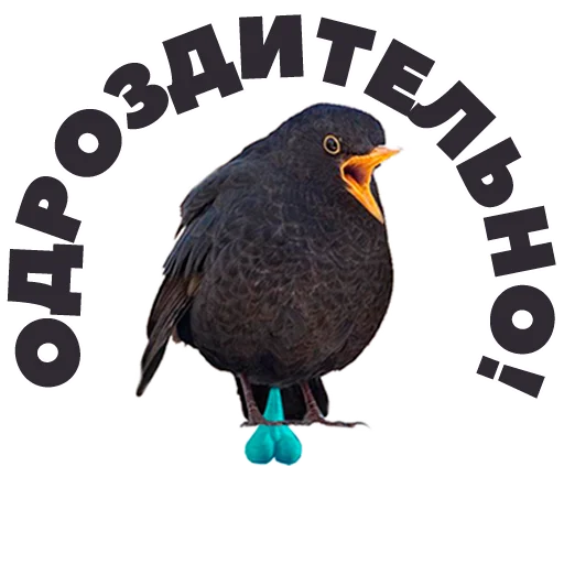 👍 Стикер «in DROZDeggs colour» для Telegram