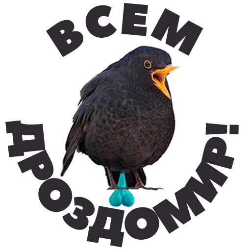 👌 Стикер «in DROZDeggs colour» для Telegram
