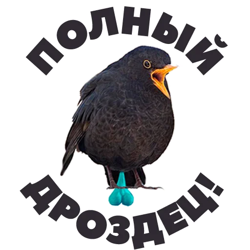 🙀 Стикер «in DROZDeggs colour» для Telegram