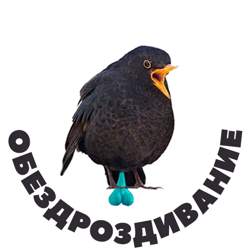 👯 Стикер «in DROZDeggs colour» для Telegram