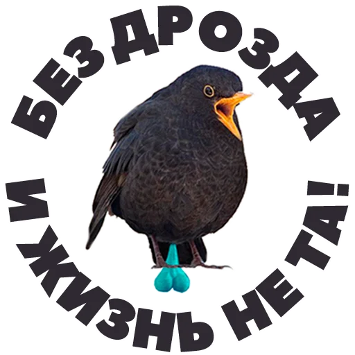 🙋 Стикер «in DROZDeggs colour» для Telegram
