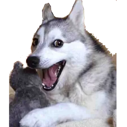😃 Стикер «Classic Memes» для Telegram