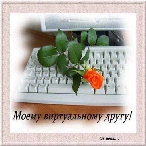 🌹 Стикер «INFOPIRATE» для Telegram