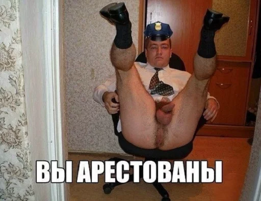 👮‍♀️ Стикер «INFOPIRATE» для Telegram