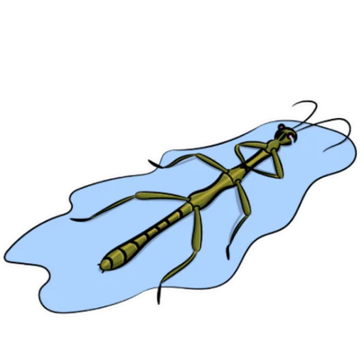 💔 Стикер «insectariumRUS» для Telegram