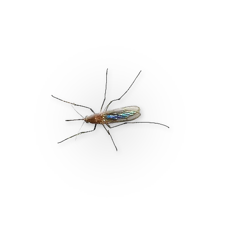 💉 Стикер «Insects» для Telegram