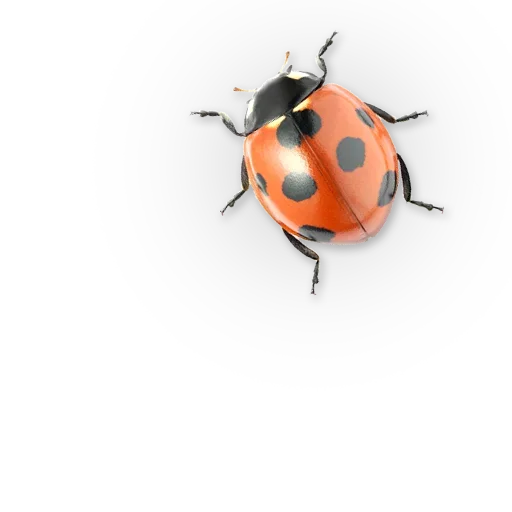 🐞 Стикер «Insects» для Telegram