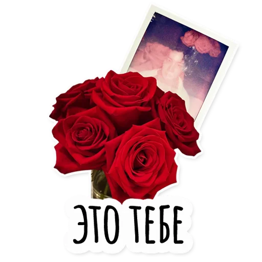 🌹 Стикер «Инста BTS» для Telegram