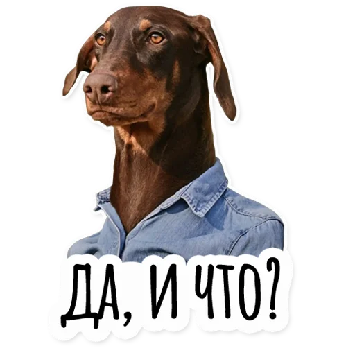 😶 Стикер «Инста BTS» для Telegram