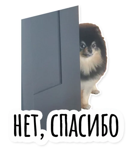 👎 Стикер «Инста BTS» для Telegram