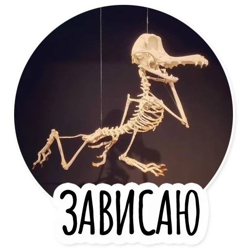 🤪 Стикер «Инста BTS» для Telegram