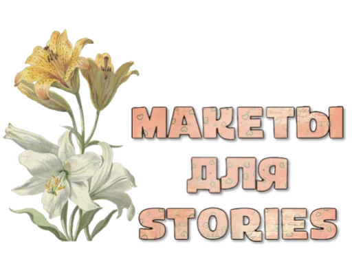 🌷 Стикер «Макеты.Видео.Сторис» для Telegram