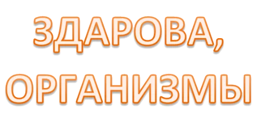 😇 Стикер «Интеллигенция без баб» для Telegram