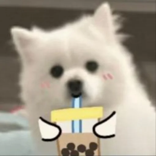 🧋 Стикер «Inudog» для Telegram