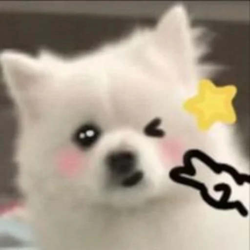 ✌️ Стикер «Inudog» для Telegram