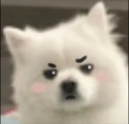🤨 Стикер «Inudog» для Telegram