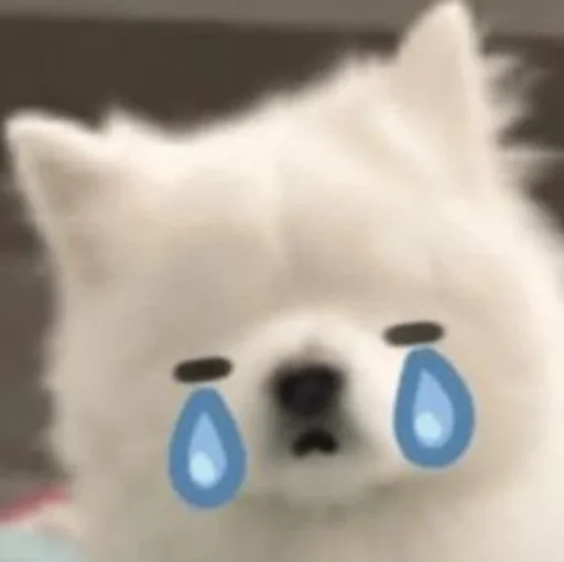 😢 Стикер «Inudog» для Telegram