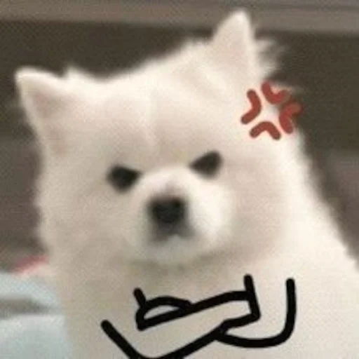 😠 Стикер «Inudog» для Telegram