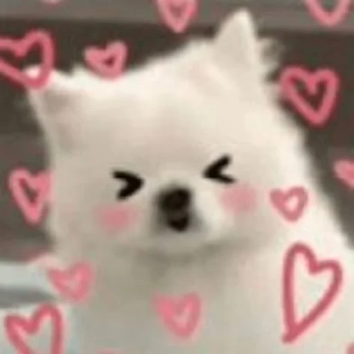 🥰 Стикер «Inudog» для Telegram