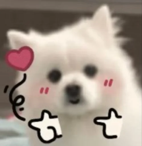 Стикерпак Inudog для Telegram