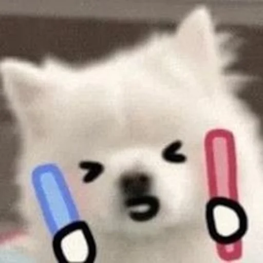 💪 Стикер «Inudog» для Telegram
