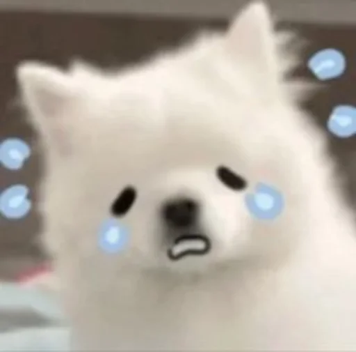 😭 Стикер «Inudog» для Telegram