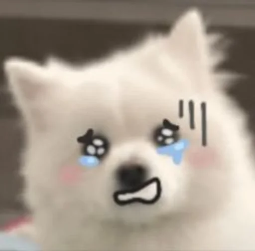 😢 Стикер «Inudog» для Telegram
