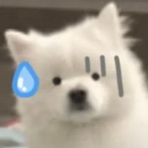 😰 Стикер «Inudog» для Telegram