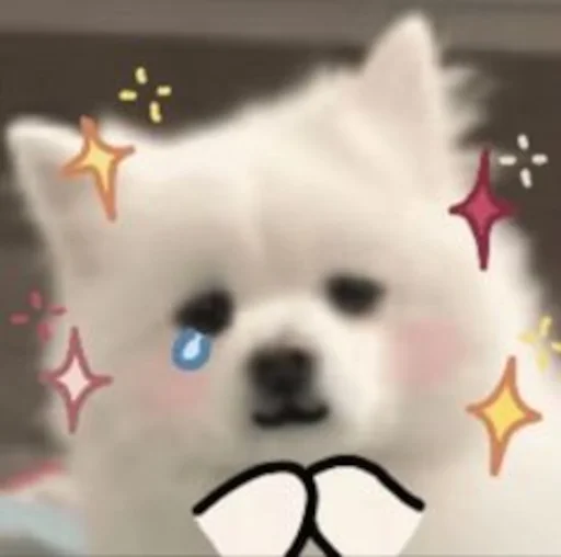 🥹 Стикер «Inudog» для Telegram