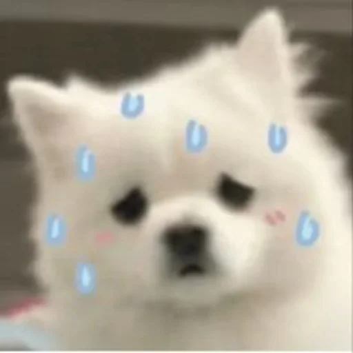 🥵 Стикер «Inudog» для Telegram