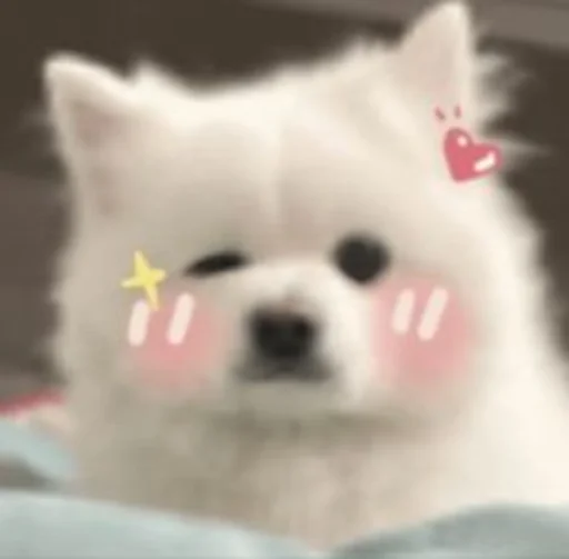 😉 Стикер «Inudog» для Telegram