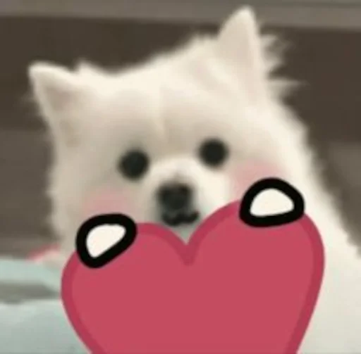 ❤️ Стикер «Inudog» для Telegram