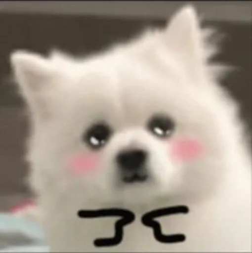😳 Стикер «Inudog» для Telegram