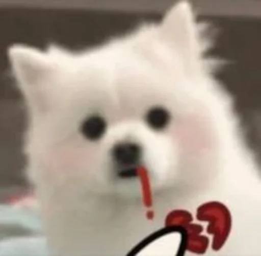 💔 Стикер «Inudog» для Telegram